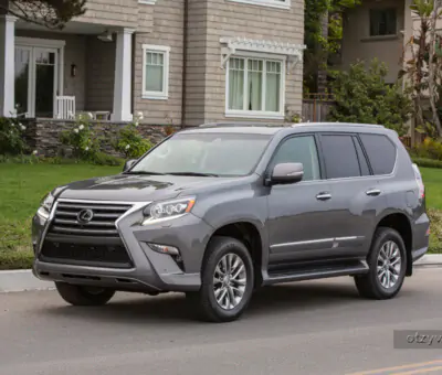 Lexus (Лексус)